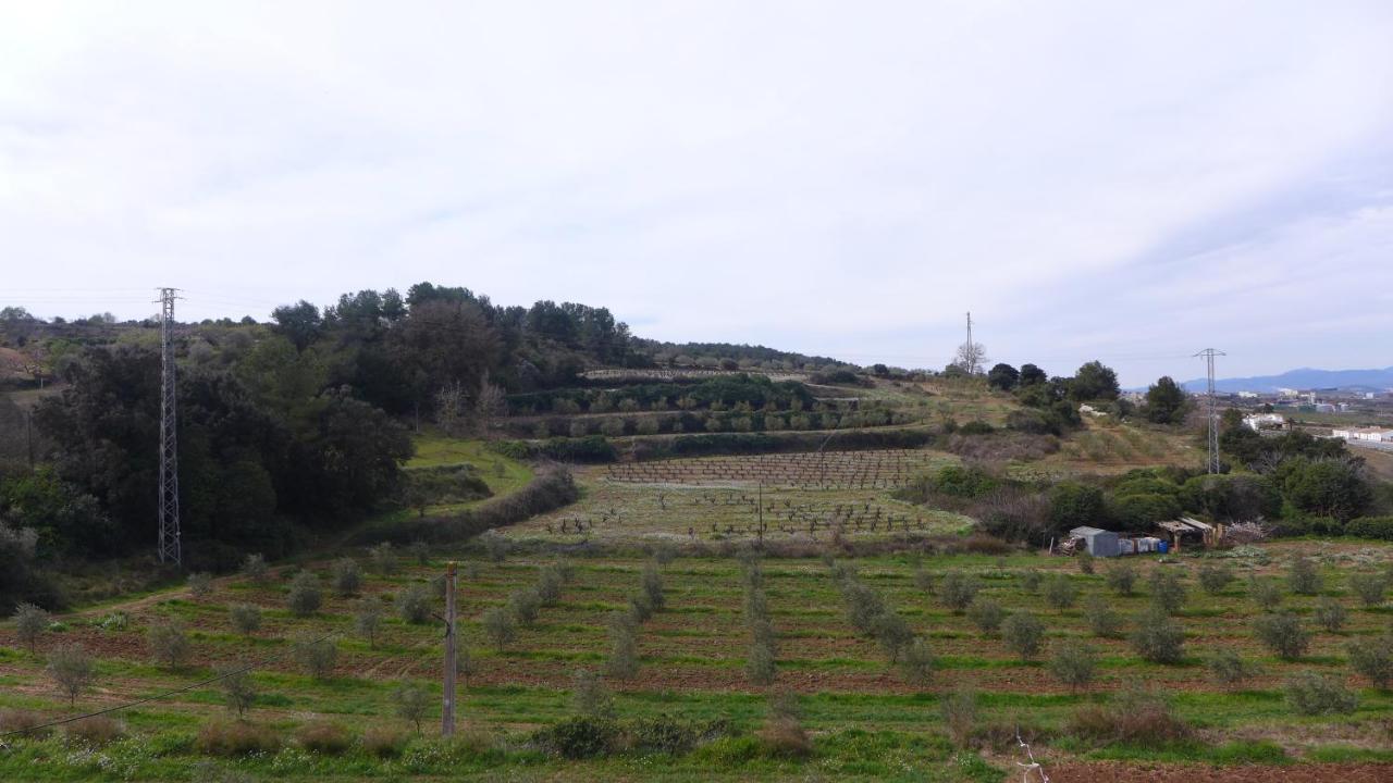 Agroturisme Cal Jeroni Avinyonet del Penedes Ngoại thất bức ảnh