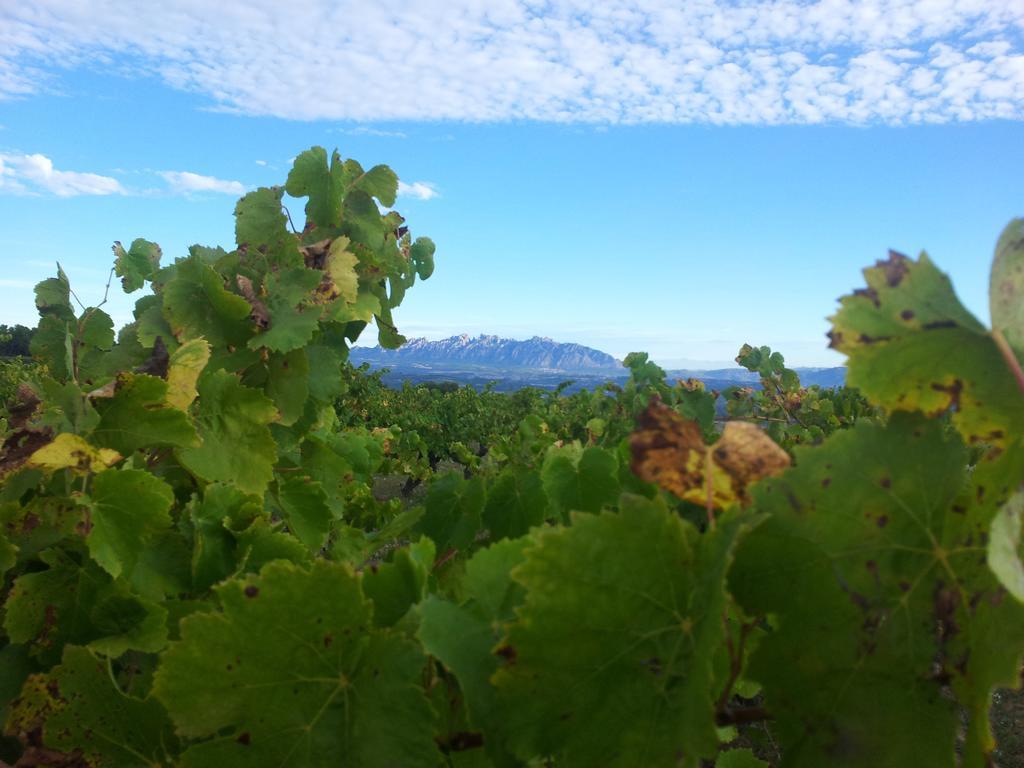 Agroturisme Cal Jeroni Avinyonet del Penedes Ngoại thất bức ảnh